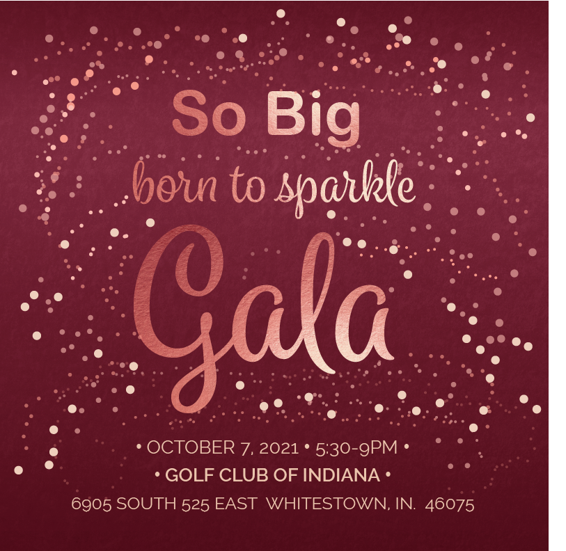 Born to Sparkle Gala. Oct. 7 from 5:30-9pm. Get your tickets now!